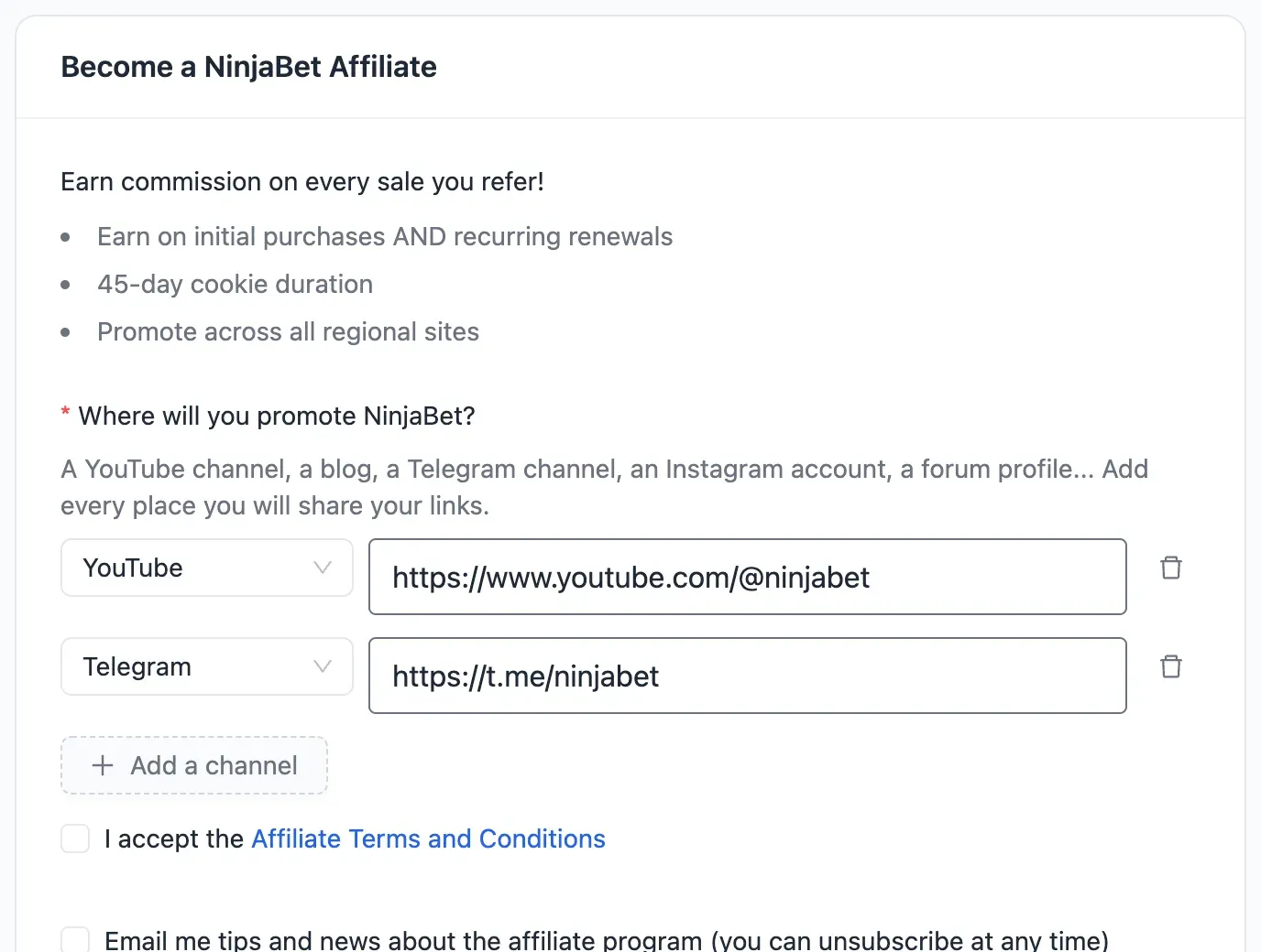 The program sign-up form with a YouTube and a Telegram channel